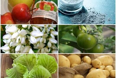 Folk medicines to treat varicosas
